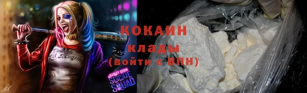 тгк Бронницы