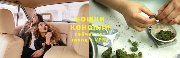 дмт Бородино