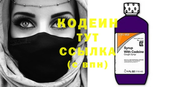дмт Бородино