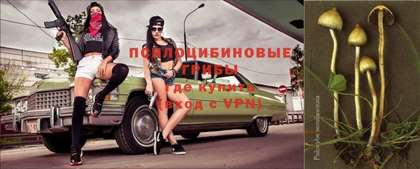 дмт Бородино
