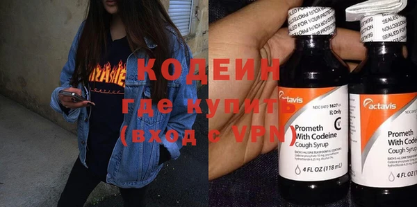 дмт Бородино