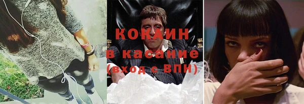 дмт Бородино