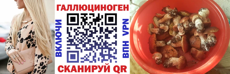 Купить  Бронницы  Галлюциногенные грибы Cubensis 